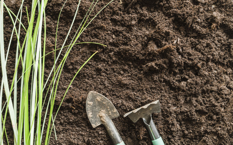 Improve the fertility of the soil