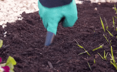 Claws Garden Gloves
