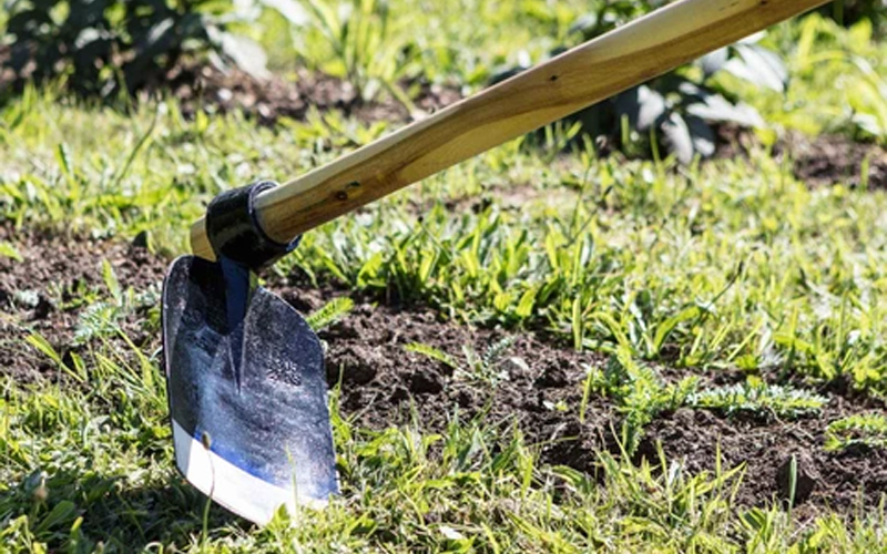 Garden Hoe