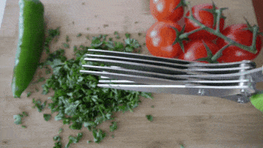 Kitchen Essentials Scissors Kitchen Essentials Scissors