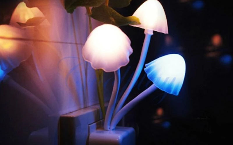 Lucky Mushroom Night Light