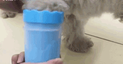 Pet Paw Cleaner Pet Paw Cleaner