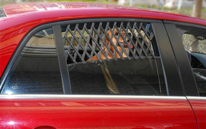 Pet Travel Car Window Mesh