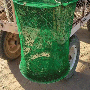 Portable Nontoxic Fly Mosquito Trap