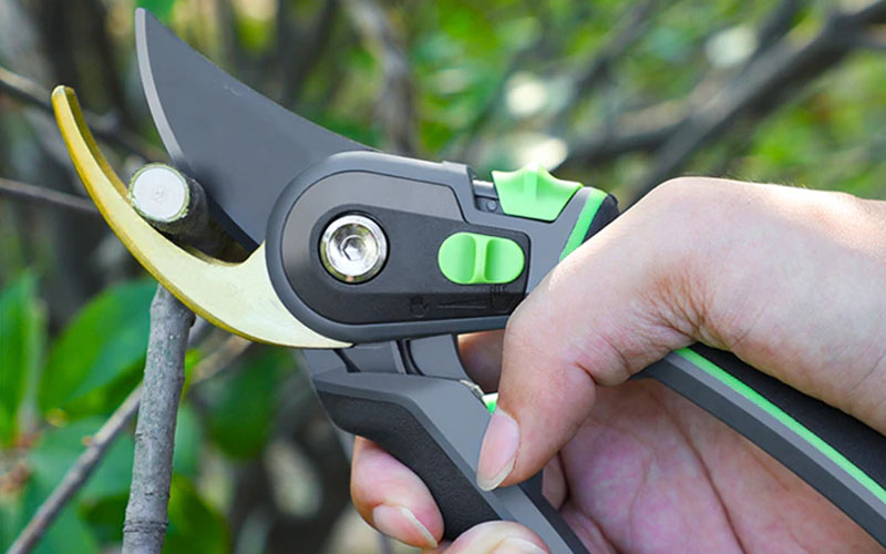 Shears Shears