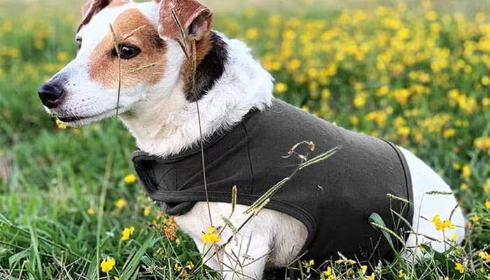 Anti-Anxiety Dog Vest