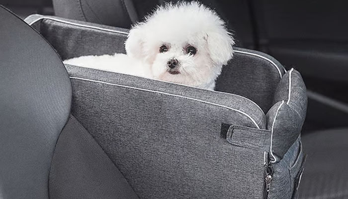 Car Seat For Small Dog