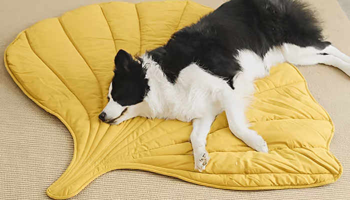 Leaf Shape Dog Blanket