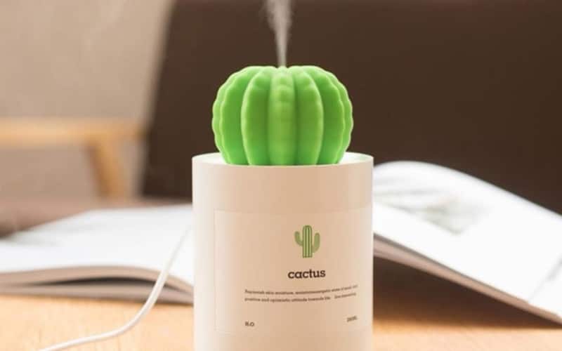 https://cdn2.inspireuplift.com/wp-content/uploads/2020/01/Cactus-Humidifier-Lamp.jpg