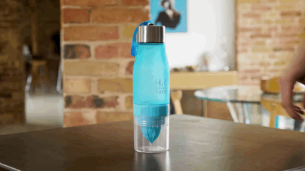 H2O Fruit Infusion Water Bottle H2O Fruit Infusion Water Bottle