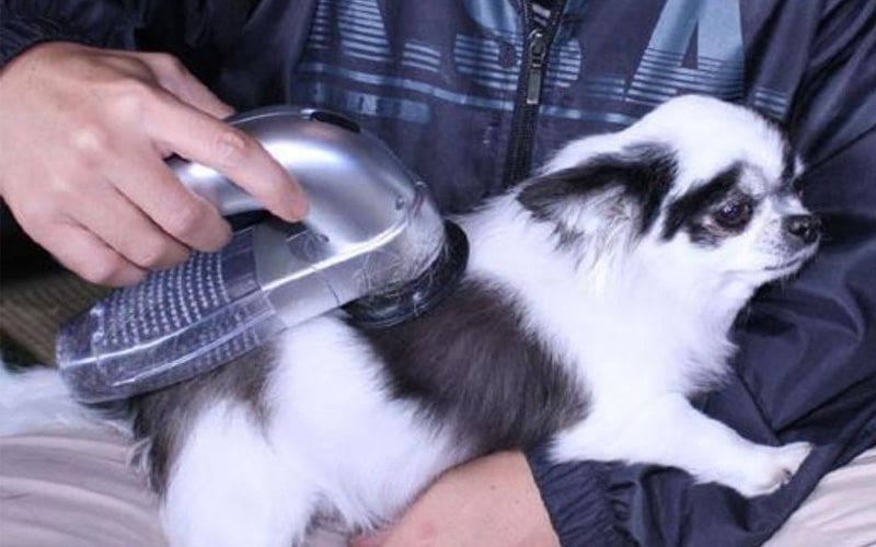 Portable Pet Hair Vacuum