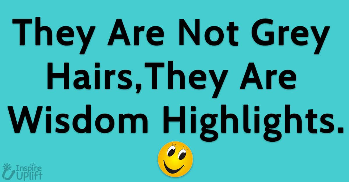 They Are Not Grey Hairs, They Are Wisdom Highlights