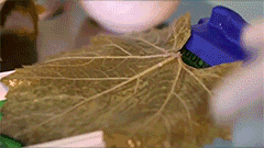 Vegetable_Meat_Roller Vegetable_Meat_Roller