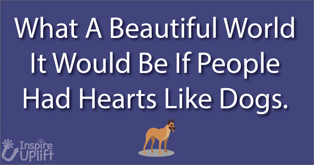 What A Beautiful World It Would Be If People Had Hearts Like Dogs
