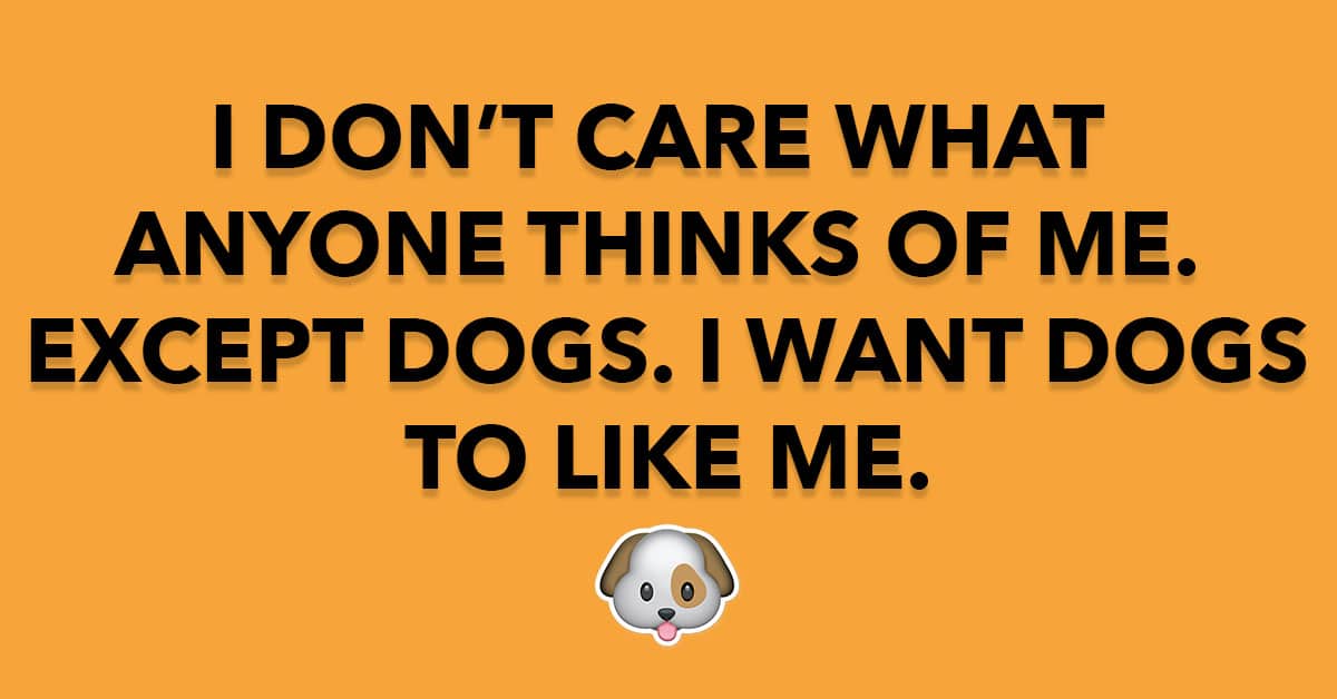 I Don’t Care What Anyone Thinks of Me. Except Dogs I Want Dogs to Like Me.