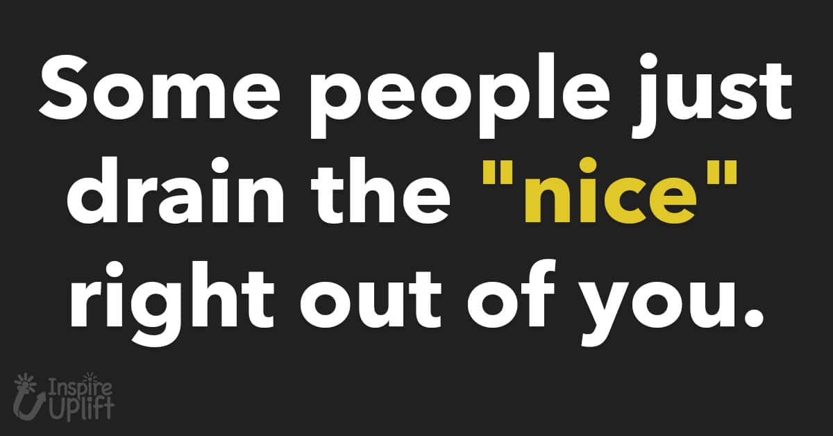 some people just drain the nice right out of you