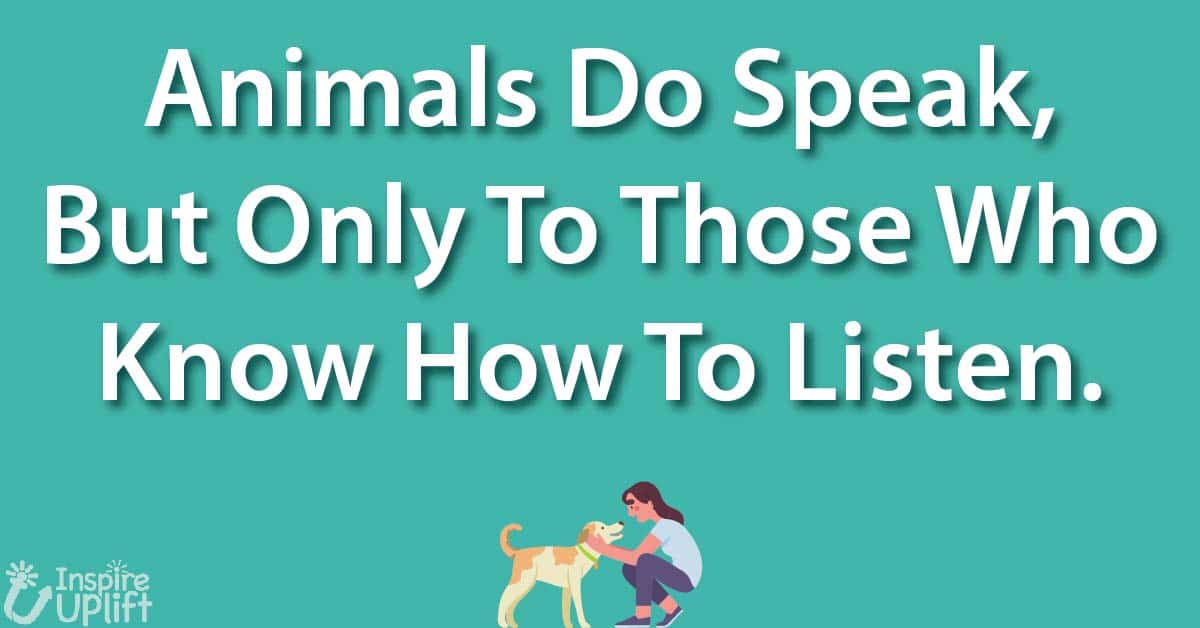 Animals do speak, but only to those who know how to listen.
