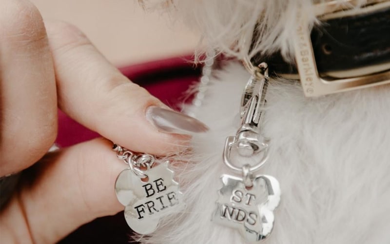 Best Friends Necklace for You and Your Dog