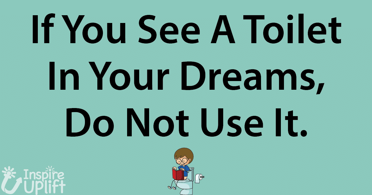 If You See A Toilet In Your Dreams Do Not Use It