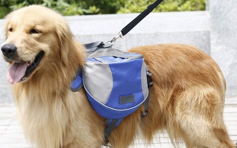 Outdoor Dog Backpack