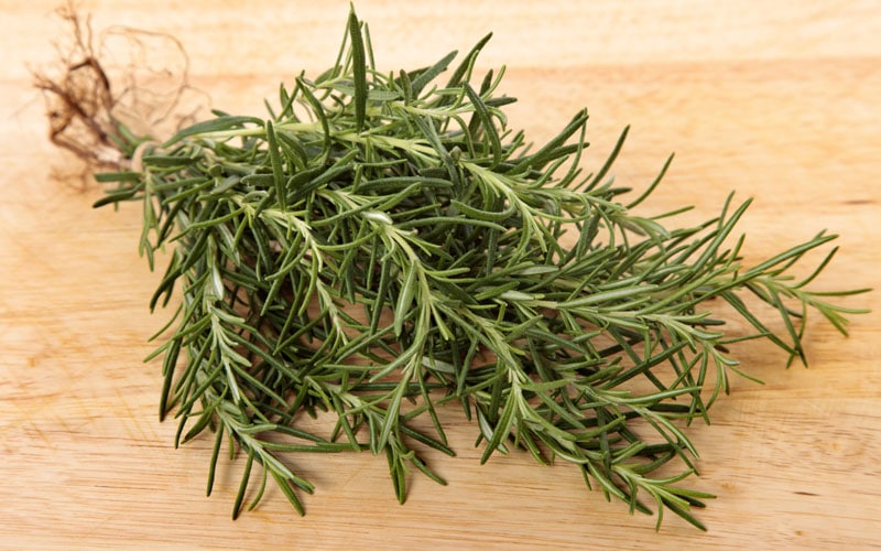 Rosemary