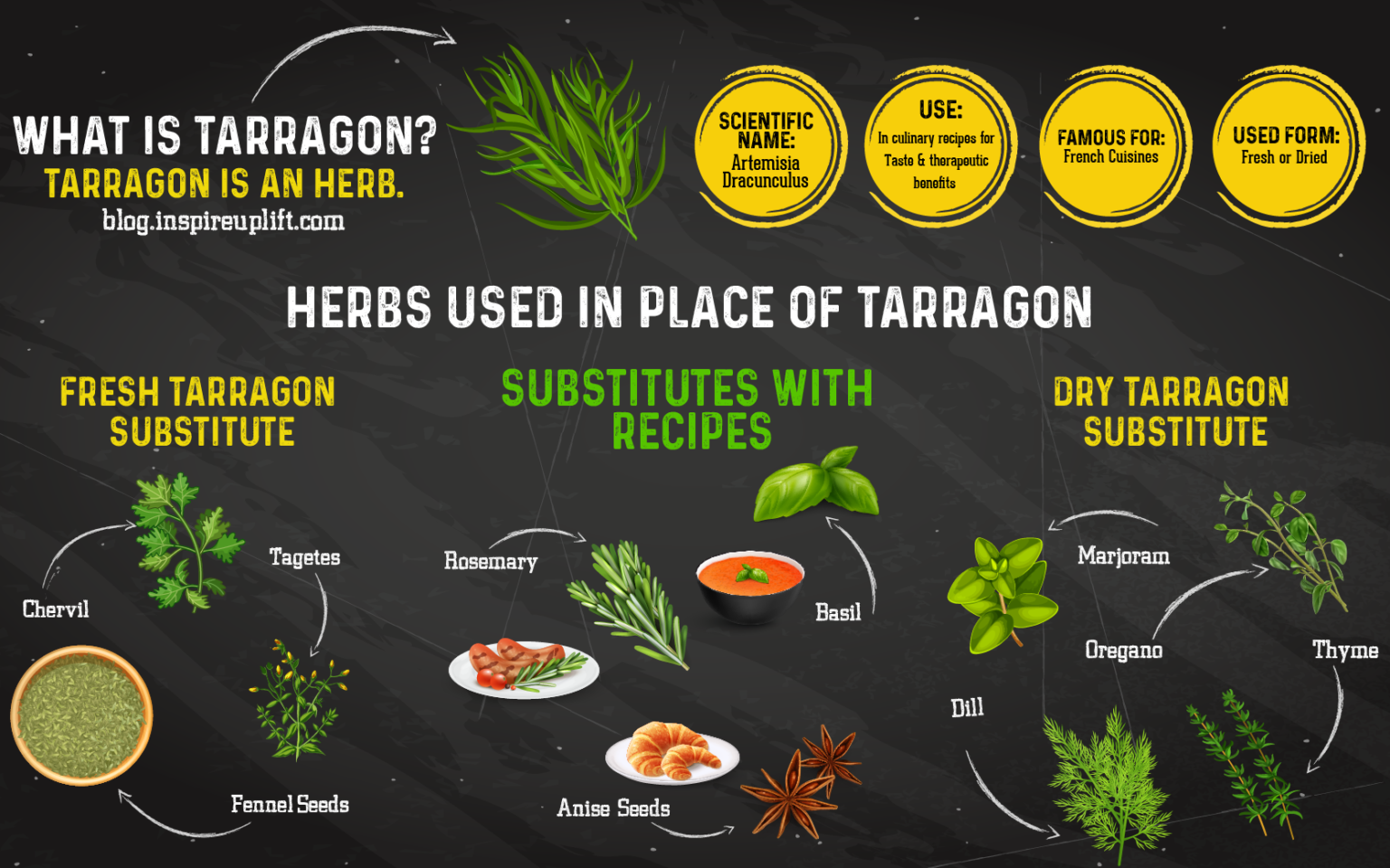 8 Tarragon Substitutes for Great Taste (20+ Recipe Ideas)
