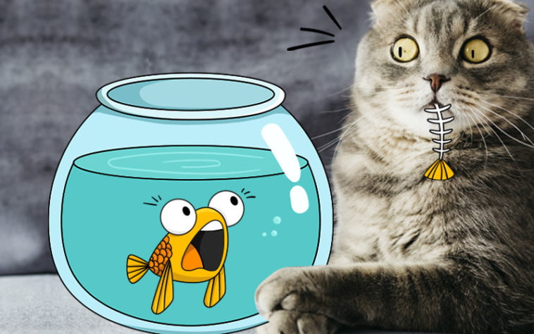 Can u feed cats tuna Clearance