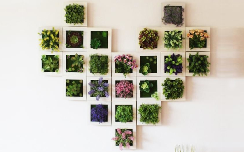 Succulent Wall Hanger Frame