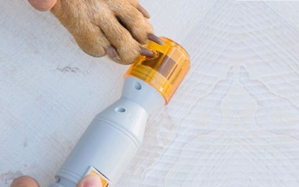 Image showcasing 21 Cool Gadgets To Pep Up Your Dog (#7 Is The Cutest)
