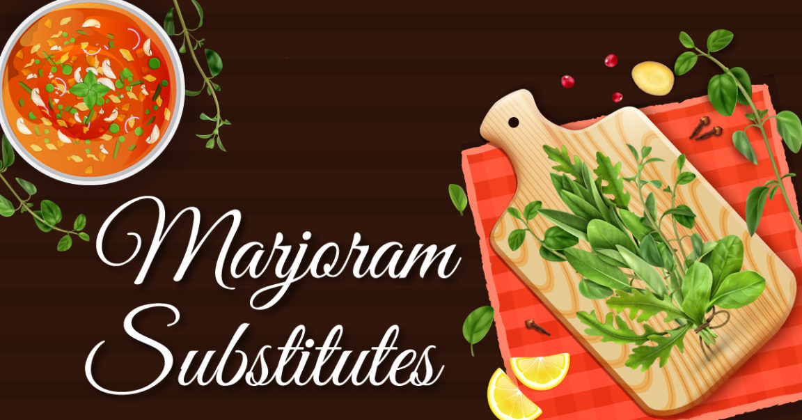 What Should I substitute for Marjoram? (8 Alternatives)