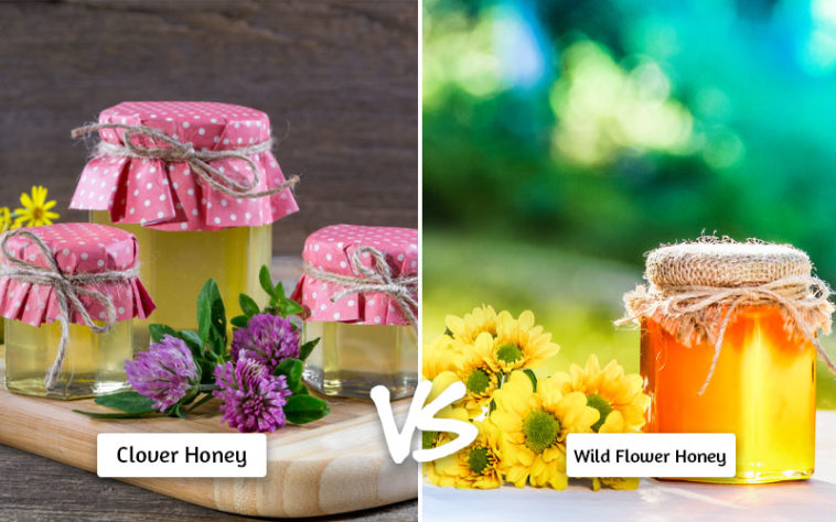 7 Reasons Why Clover Honey Is The Only Honey You Need