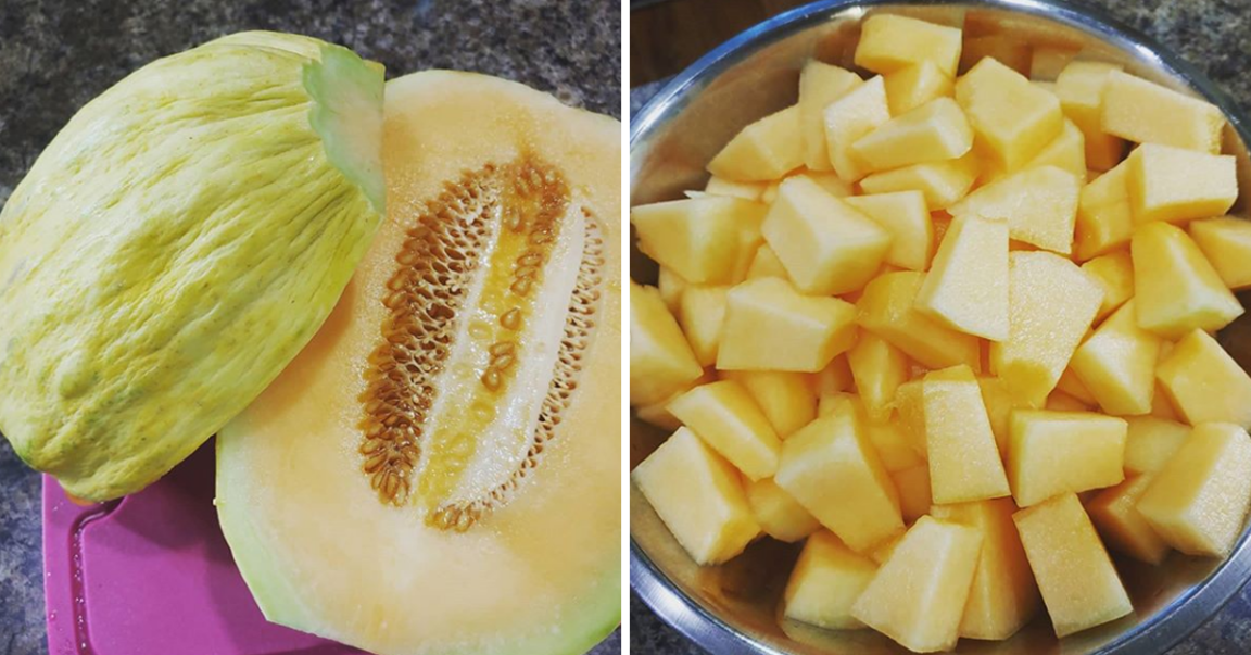 How To Grow Crenshaw Melon & Why You Must Definitely Try It