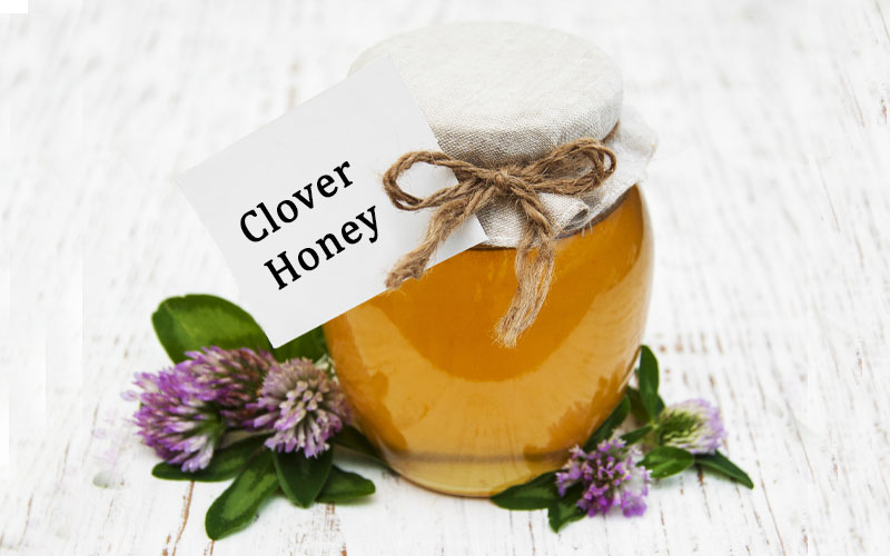 What is Clover honey, and how does it Taste Like