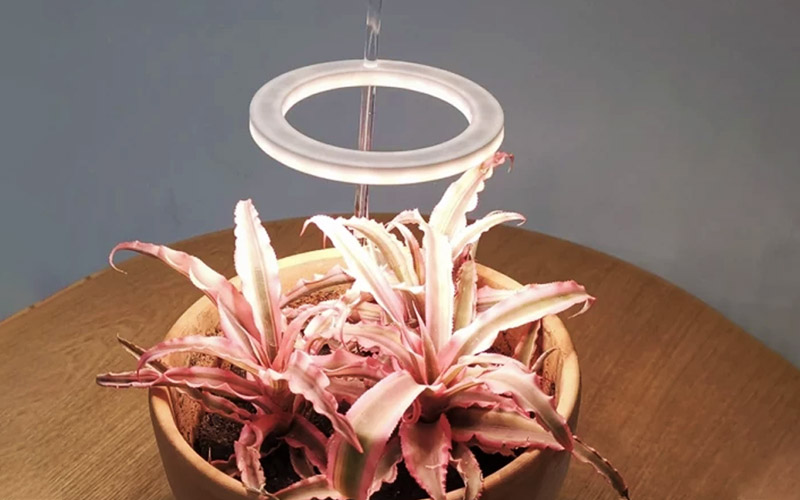 Grow Lights For Indoor Plants