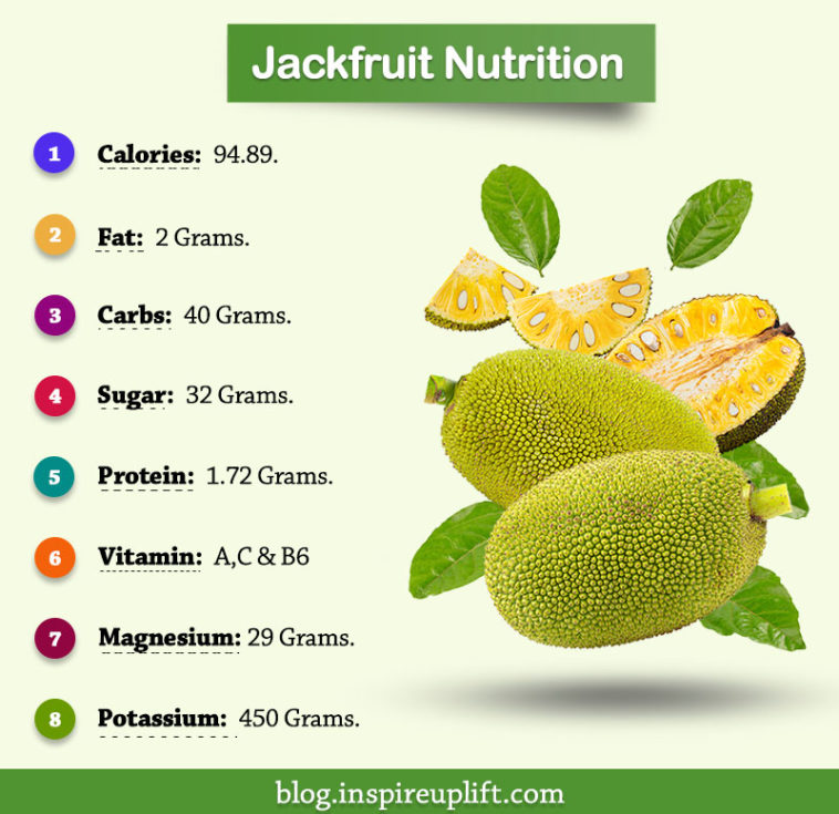 Jackfruit vs Durian List You Won't Find On Quora (13 Facts)