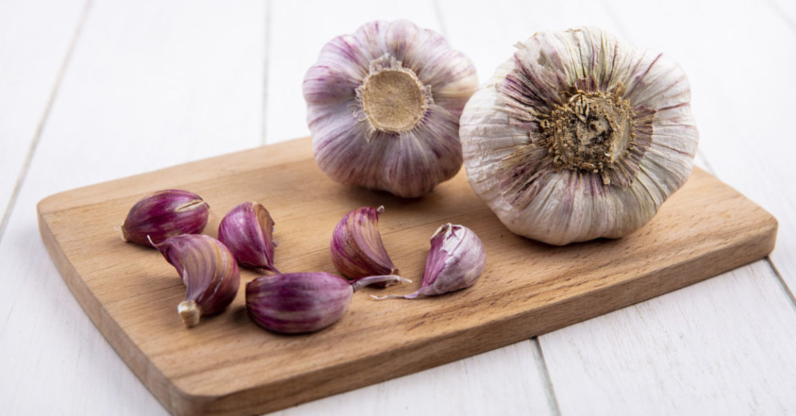 7 Facts No one Will Tell You About The Purple Garlic