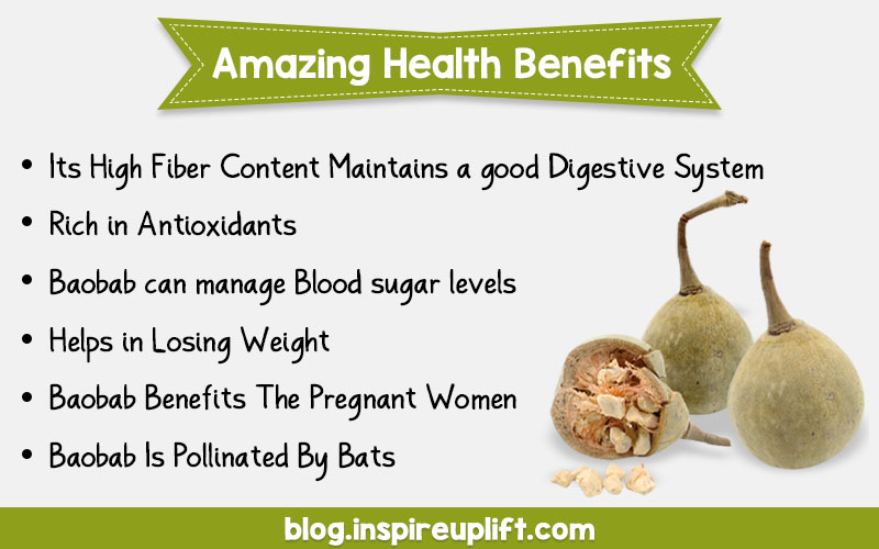 Baobab Fruit Has Amazing Health Benefits