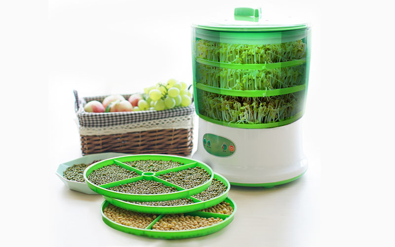 Multi-layered Automatic Bean Sprout Machine