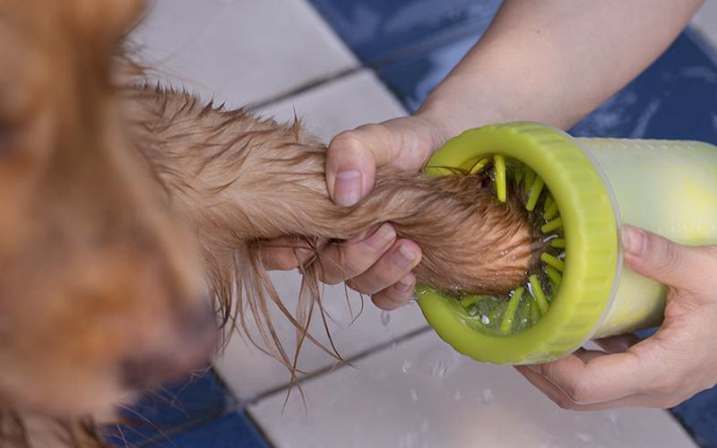 Pet Paw Cleaner