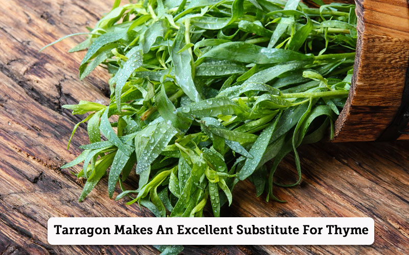 tarragon thyme substitutes