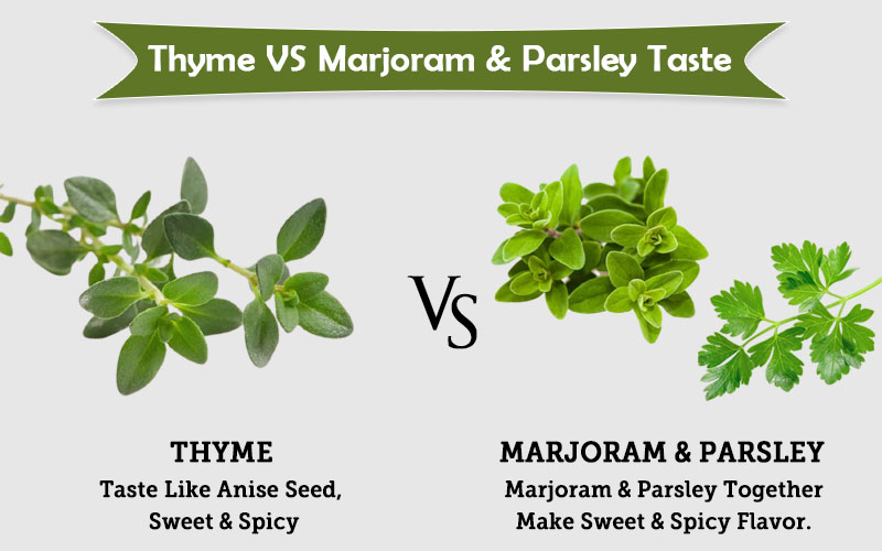 thyme spring vs marjoram & Parsley taste image