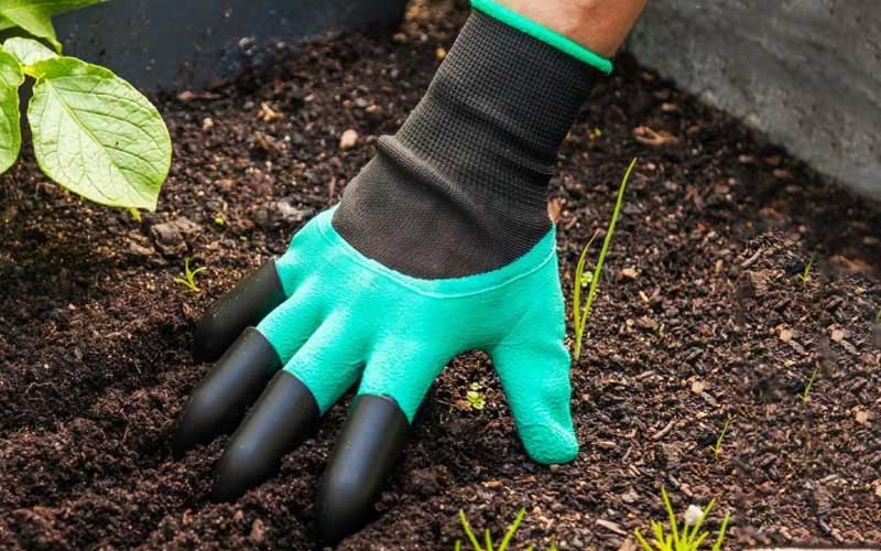 https://cdn2.inspireuplift.com/wp-content/uploads/2021/01/Claws-Garden-Gloves-2.jpg