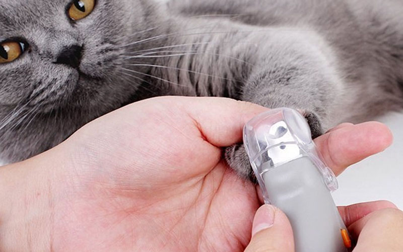 Professional Pet Nail Clipper With LED Light