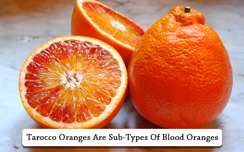 types of oranges