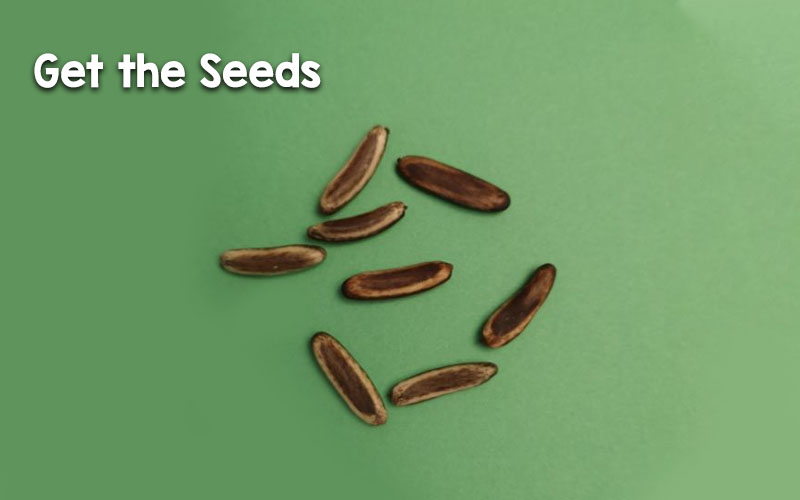 Get the Seeds