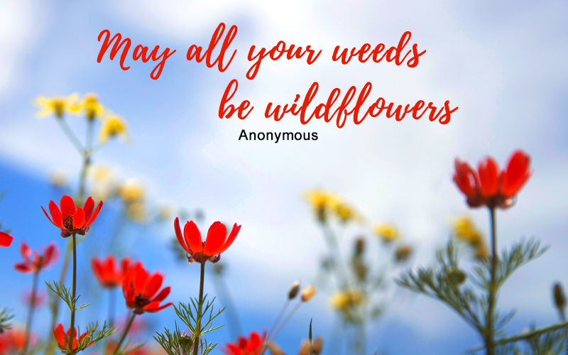 Blooming, Flowers, and Spring Quotes for May