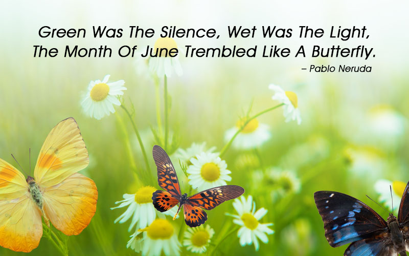 93 Wise & Inspiring June Quotes, Sayings, Poems, & Wishes