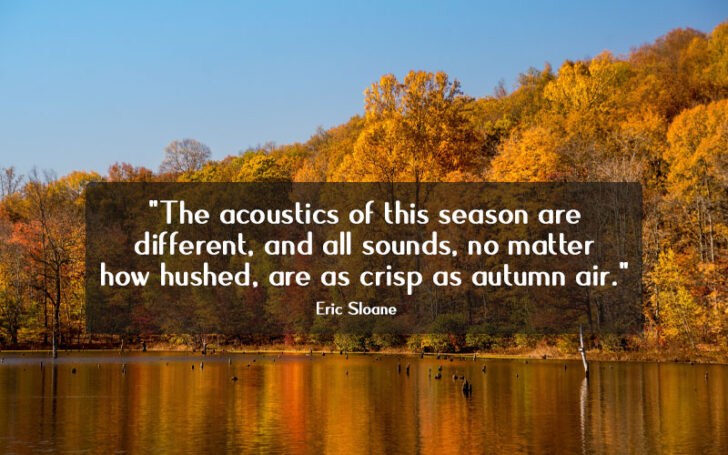 140+ November Quotes, Wishes And Sayings From An Eye Of An Autumn Lover
