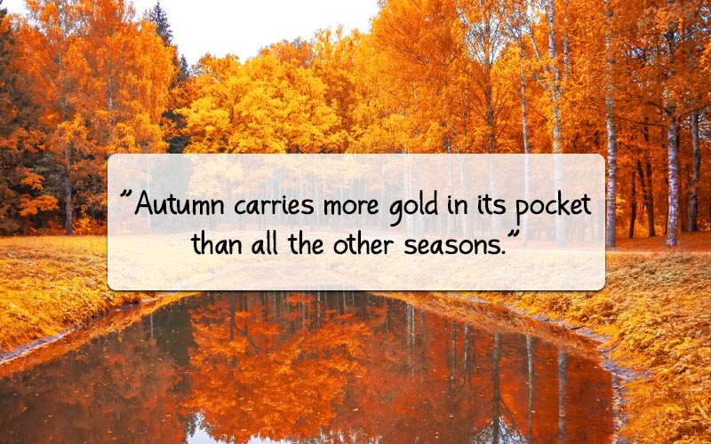 60+ November Quotes, Wishes And Sayings From An Eye Of An Autumn Lover