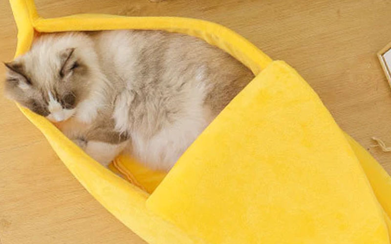 Cotton Banana Cat Bed